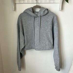 ALO Yoga Cropped Hoodie